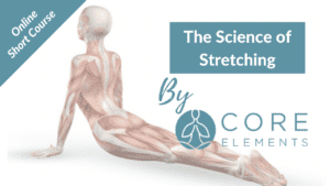 The Science of Stretching Graphic